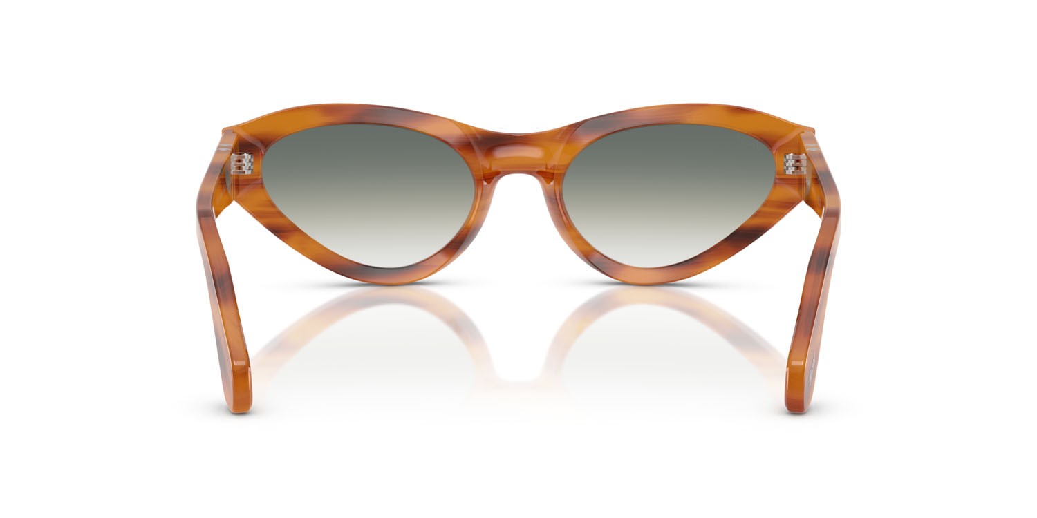 Sunglasses Persol PO 0052S (960/3A) color striato marrone shape butterfly lenses trasparente sfumato verde
