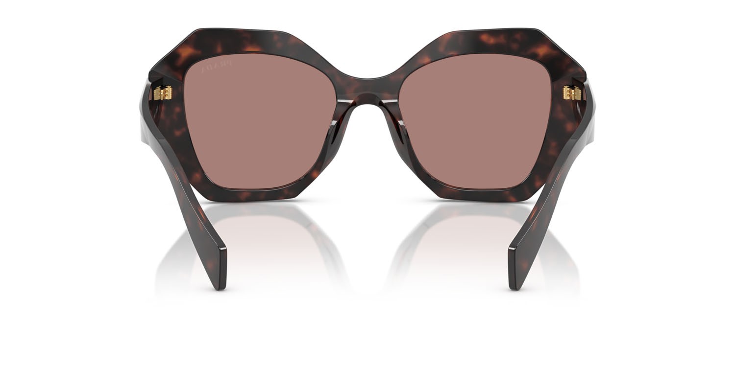 Sunglasses Prada PR 16WS (17N60B) color root tartarugato shape irregular lenses marrone chiaro