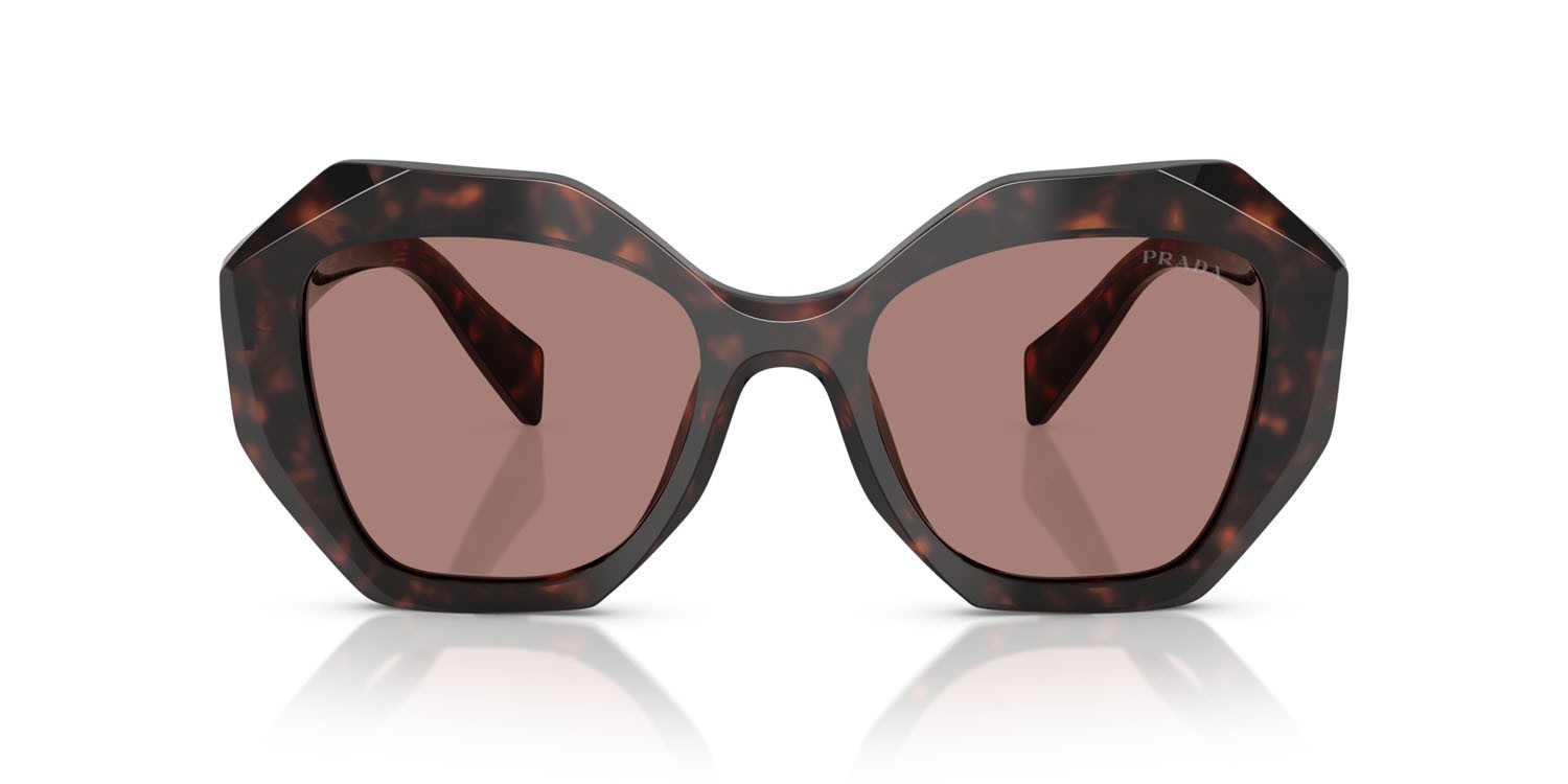 Sunglasses Prada PR 16WS (17N60B) color root tartarugato shape irregular lenses marrone chiaro