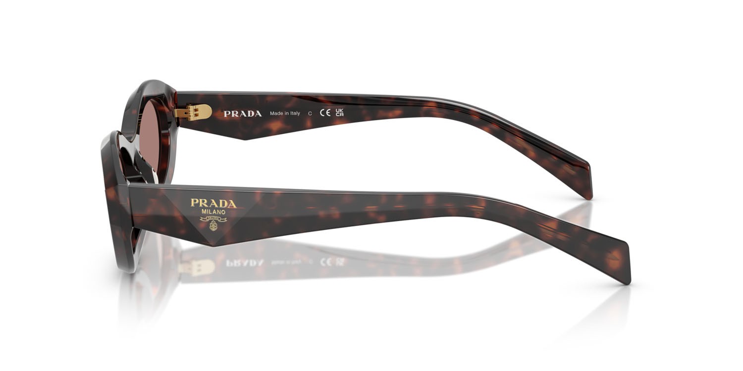 Sunglasses Prada PR 26ZS (17N60B) color root tartarugato shape irregular lenses marrone chiaro