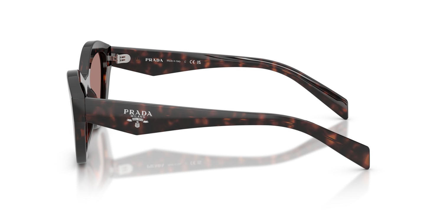 Sunglasses Prada PR A02S (17N60B) color root tartarugato shape butterfly lenses marrone chiaro