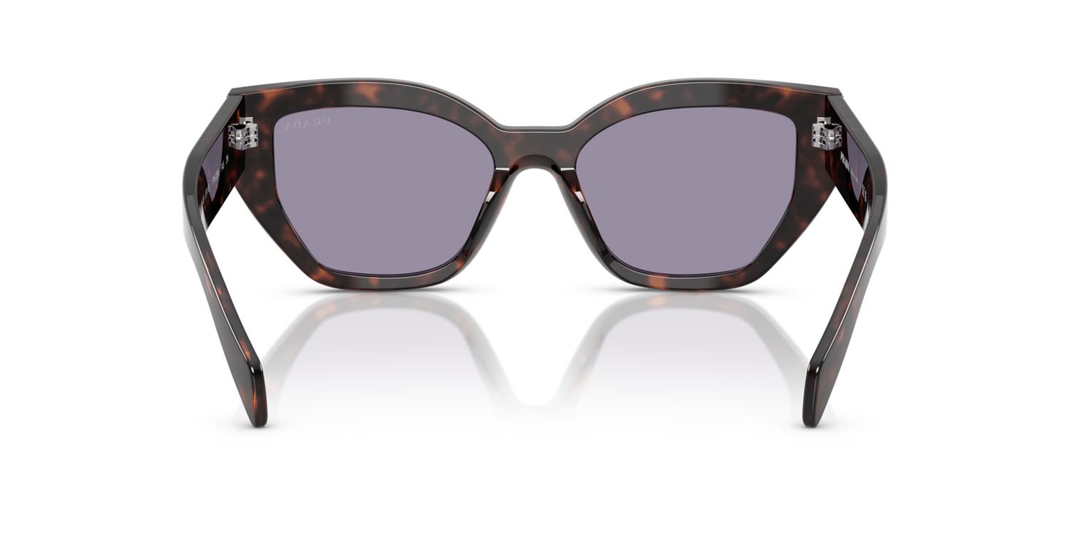 Sunglasses Prada PR A09S (17N03N) color root tartarugato shape butterfly lenses grigio