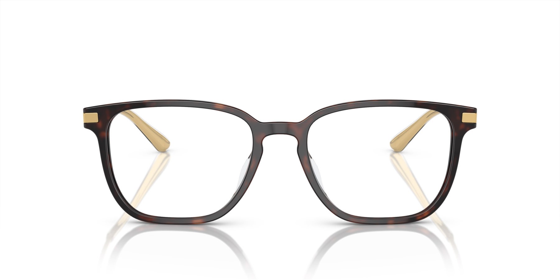 Eyeglasses Prada PR A12VD (16N1O1) color briar tartarugato shape square lenses lente demo