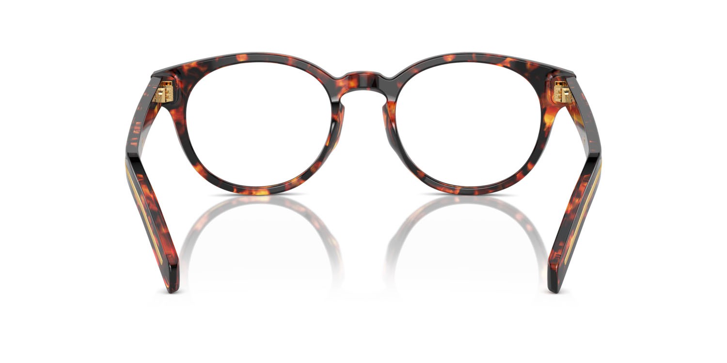Eyeglasses Prada PR A14V (14O1O1) color magma tortoise shape pantos lenses lente demo