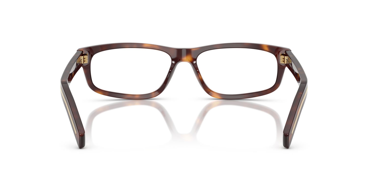 Eyeglasses Prada PR B02V (15W1O1) color havana shape rectangle lenses lente demo