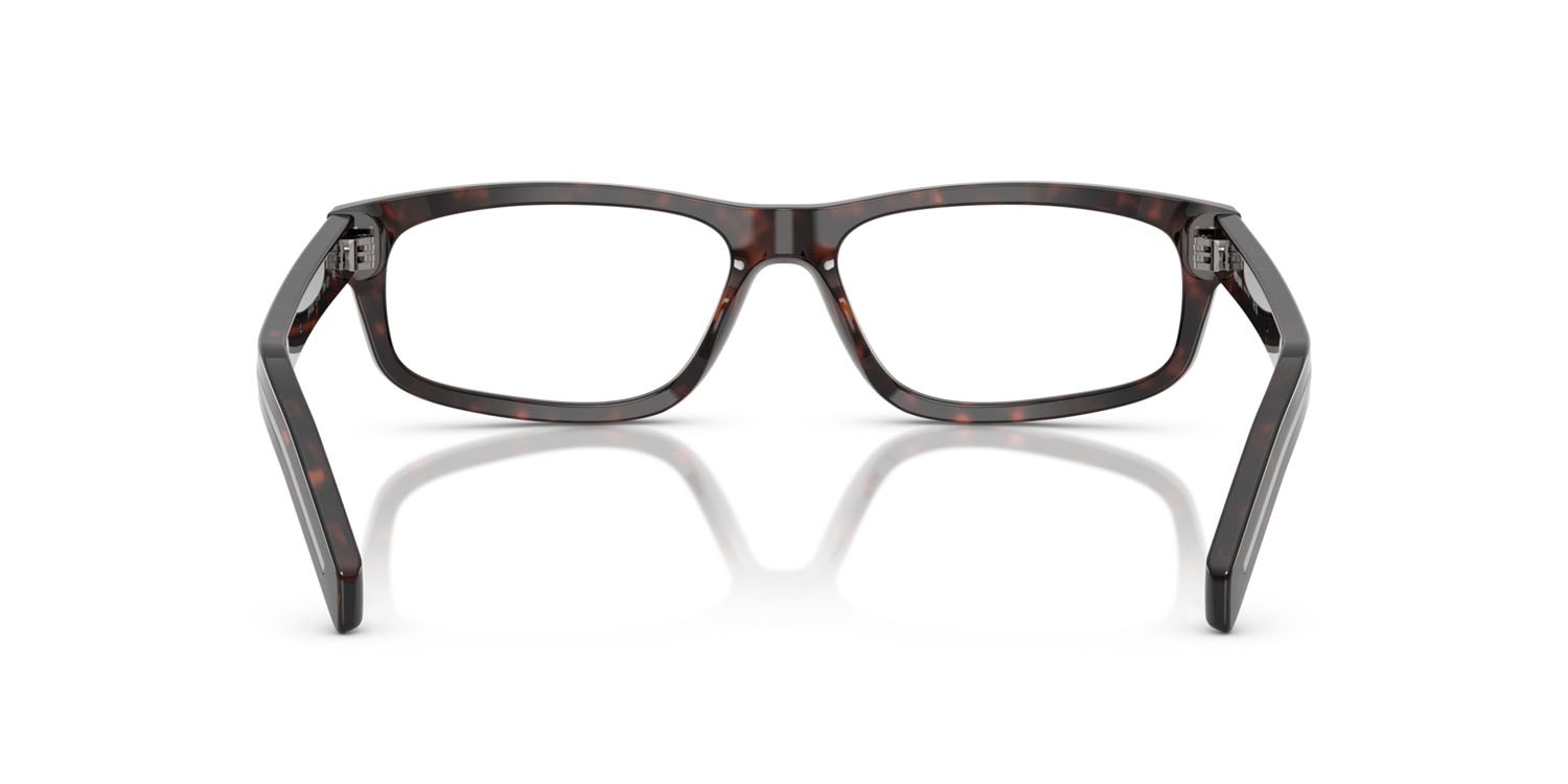 Eyeglasses Prada PR B02V (17N1O1) color root havana shape rectangle lenses lente demo