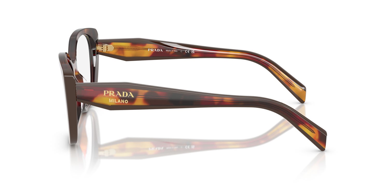 Eyeglasses Prada PR B04V (22A1O1) color papavero tartarugato/bordeaux shape cat eye lenses lente demo