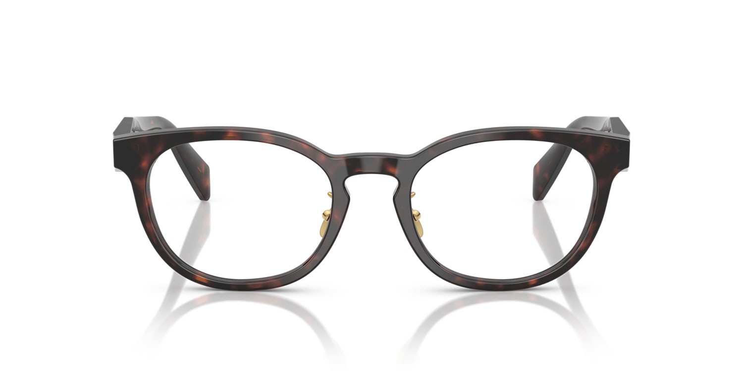 Eyeglasses Prada PR B06VD (17N1O1) color verde opaco/rosa shape pantos lenses lente demo