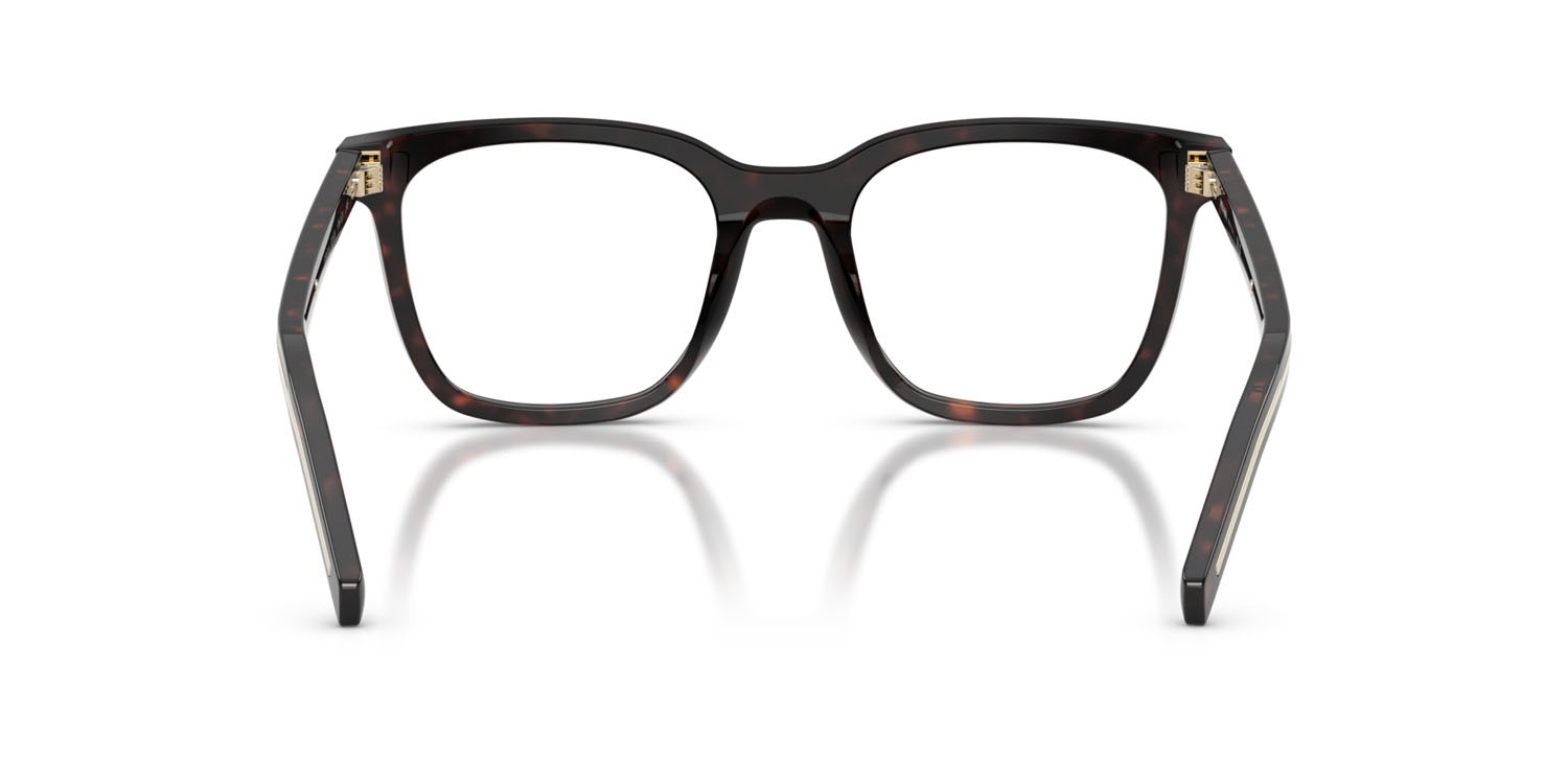 Eyeglasses Prada PR B11V (17N1O1) color root tartarugato shape square lenses lente demo