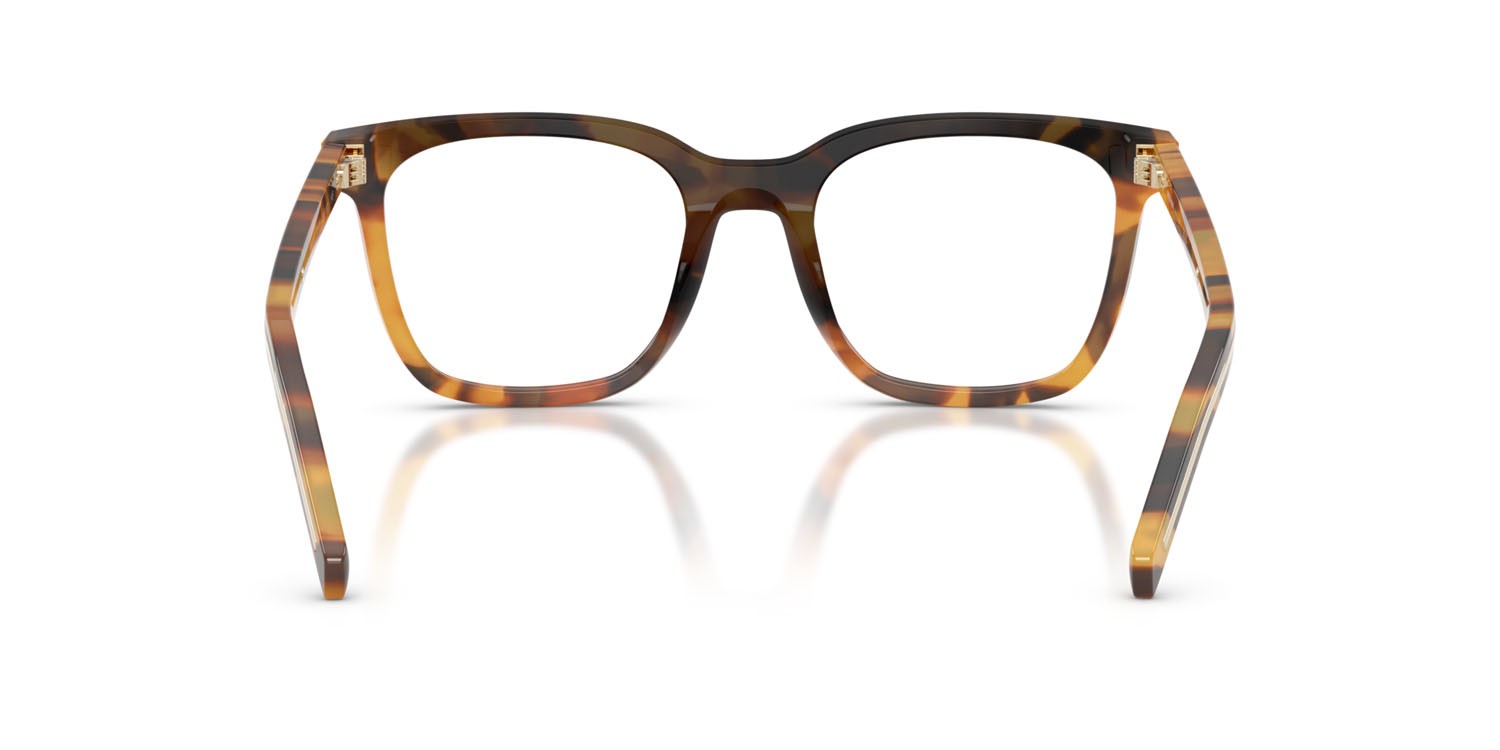 Eyeglasses Prada PR B11V (29C1O1) color tortoise cannella shape square lenses lente demo