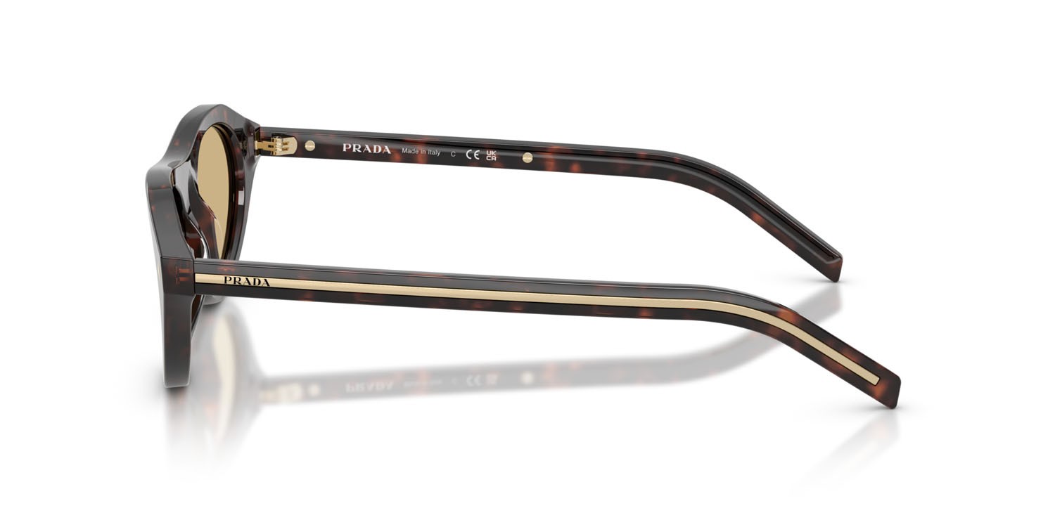 Sunglasses Prada PR B15S (17N70R) color root tartarugato shape irregular lenses marrone chiaro