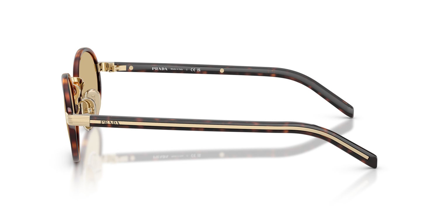 Sunglasses Prada PR B56S (21E10R) color root tartarugato shape oval lenses lente camomilla bio