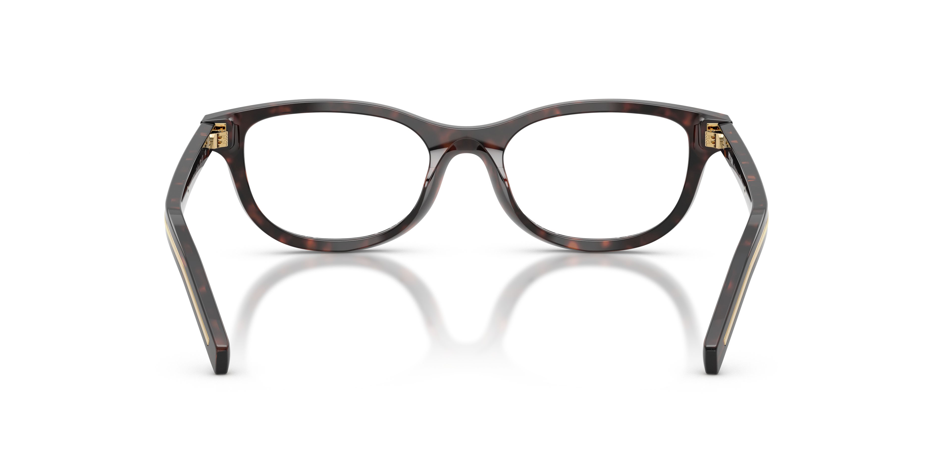 Eyeglasses Prada PR D01VU (17N1O1) color root havana shape oval lenses lente demo