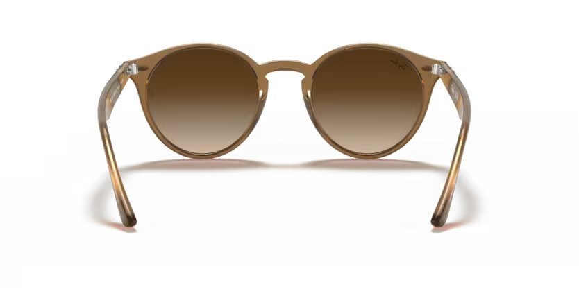 Sonnenbrillen Ray-Ban RB 2180 (616613) farbe turtledove form pantos gläser brown gradient