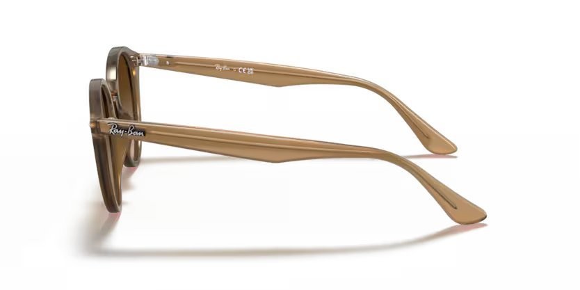 Sonnenbrillen Ray-Ban RB 2180 (616613) farbe turtledove form pantos gläser brown gradient