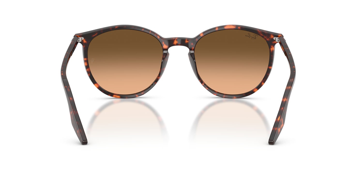 Sonnenbrillen Ray-Ban RB 2204 (14293B) farbe rosso havana tartarugato form pantos gläser rosa sfumato nero