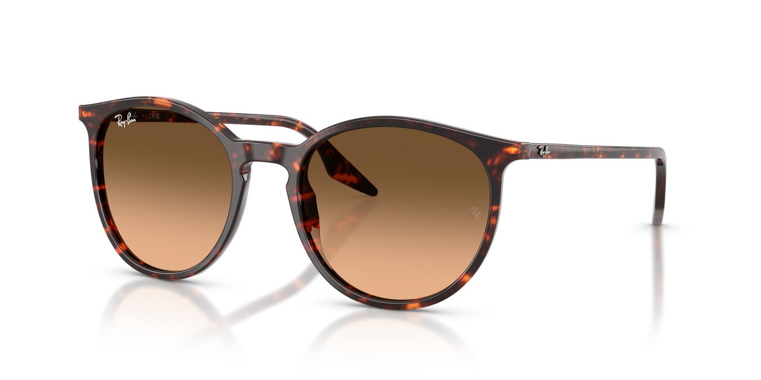 Sonnenbrillen Ray-Ban RB 2204 (14293B) farbe rosso havana tartarugato form pantos gläser rosa sfumato nero