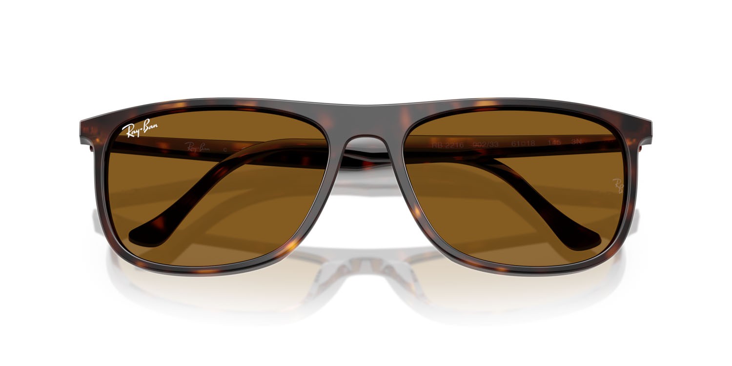 Sonnenbrillen Ray-Ban RB 2216 (902/33) farbe havana form rechteckig gläser marrone