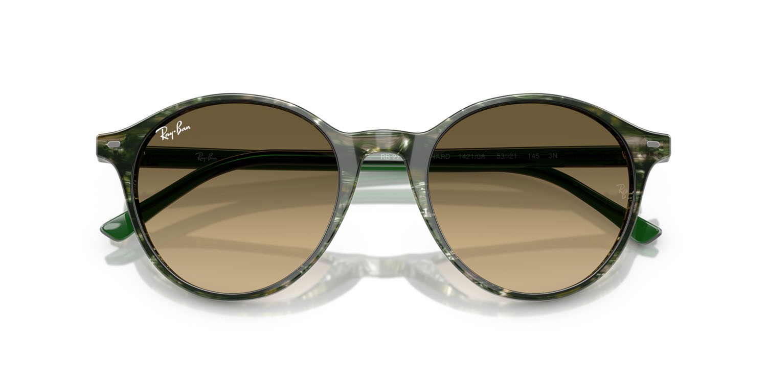 Sonnenbrillen Ray-Ban Bernard RB 2230 (14210A) farbe verde fantasia trasparente form pantos gläser marrone
