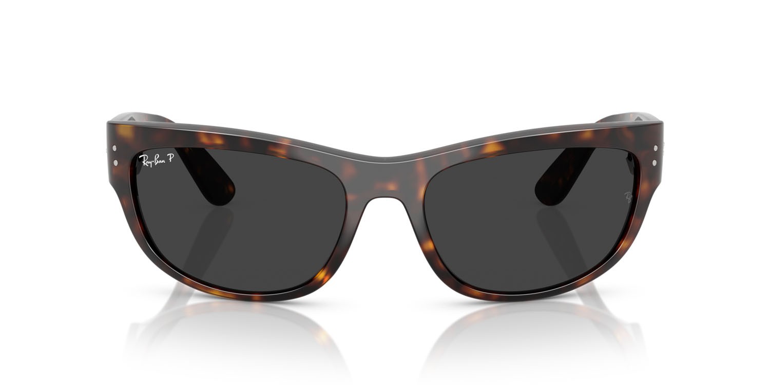 Sonnenbrillen Ray-Ban Mega Balorama RB 2289 (902/48) farbe havana form quadratisch gläser polar nera