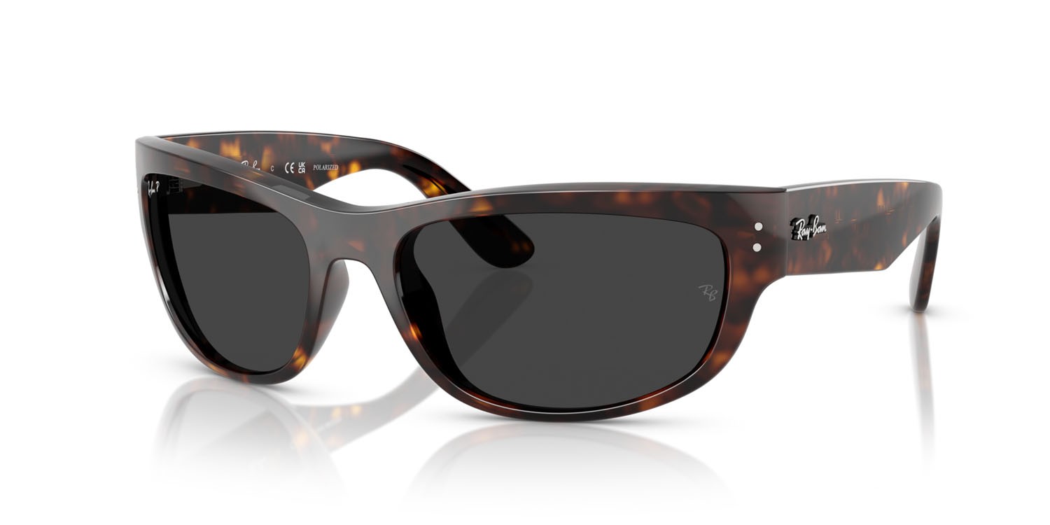Sonnenbrillen Ray-Ban Mega Balorama RB 2289 (902/48) farbe havana form quadratisch gläser polar nera