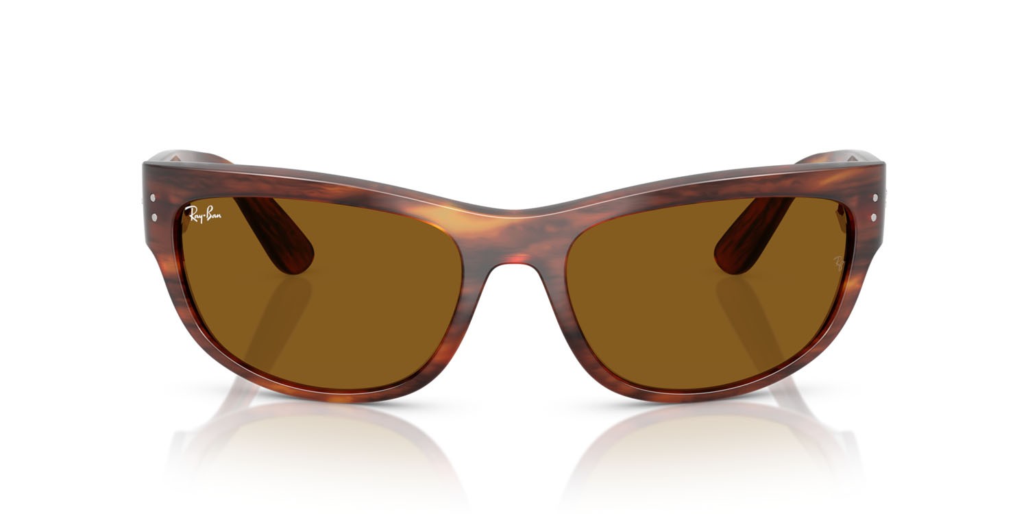 Occhiali da sole Ray-Ban Mega Balorama RB 2289 (954/33) colore striato havana forma quadrato lenti b-15 marrone