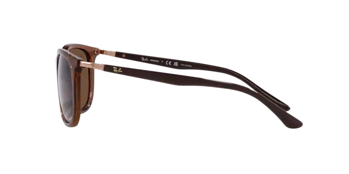 Sonnenbrillen Ray-Ban RB 4386 (6652AN) farbe marrone trasparente form quadratisch gläser marrone