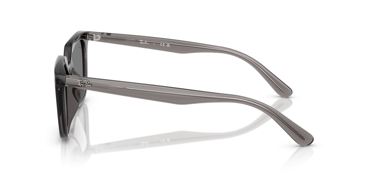 Sonnenbrillen Ray-Ban RB 4439D (667587) farbe grigio trasparente form quadratisch gläser grigio scuro