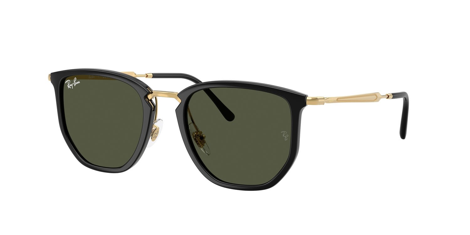 Sonnenbrillen Ray-Ban RB 4451 (630631) farbe nero form unregelmäßig gläser verde