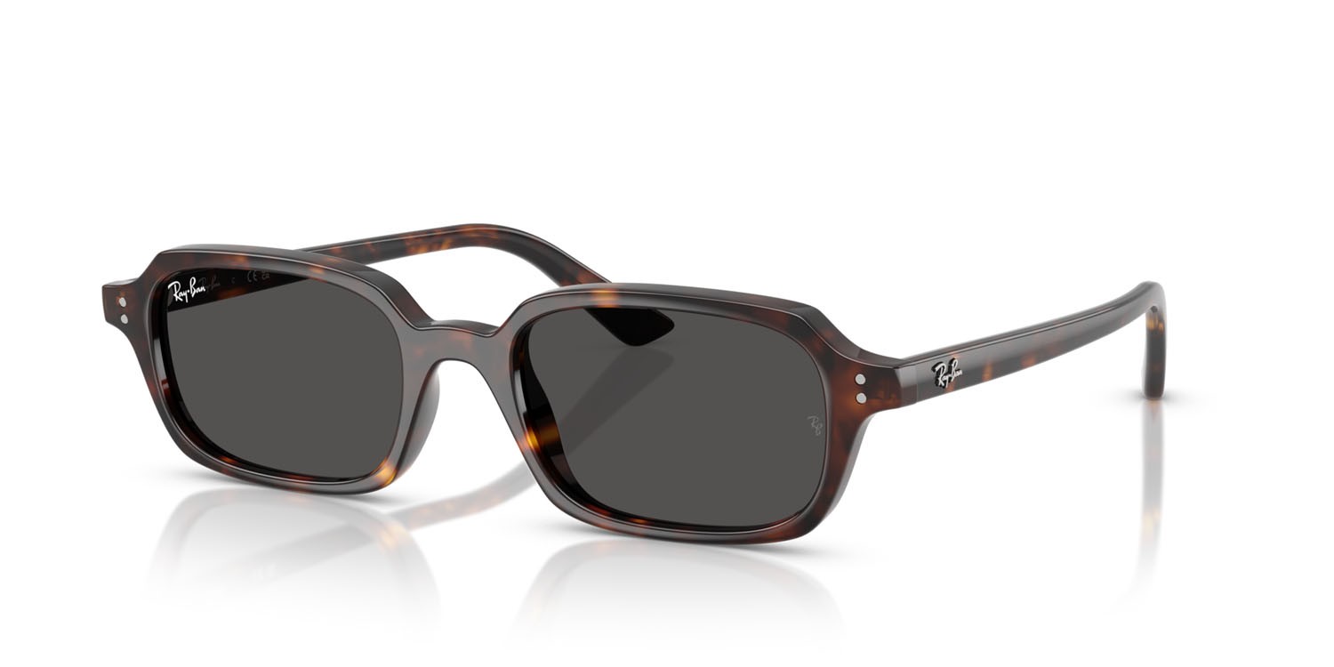 Occhiali da sole Ray-Ban Zuri RB 4455 (135987) colore havana forma quadrato lenti grigio scuro