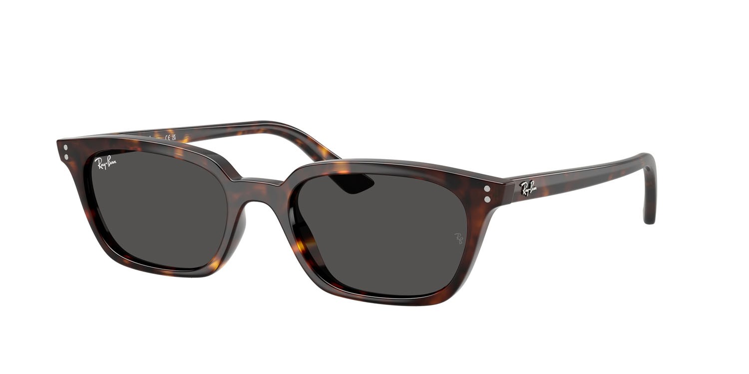 Occhiali da sole Ray-Ban Zaya RB 4456 (135987) colore havana forma quadrato lenti grigio scuro