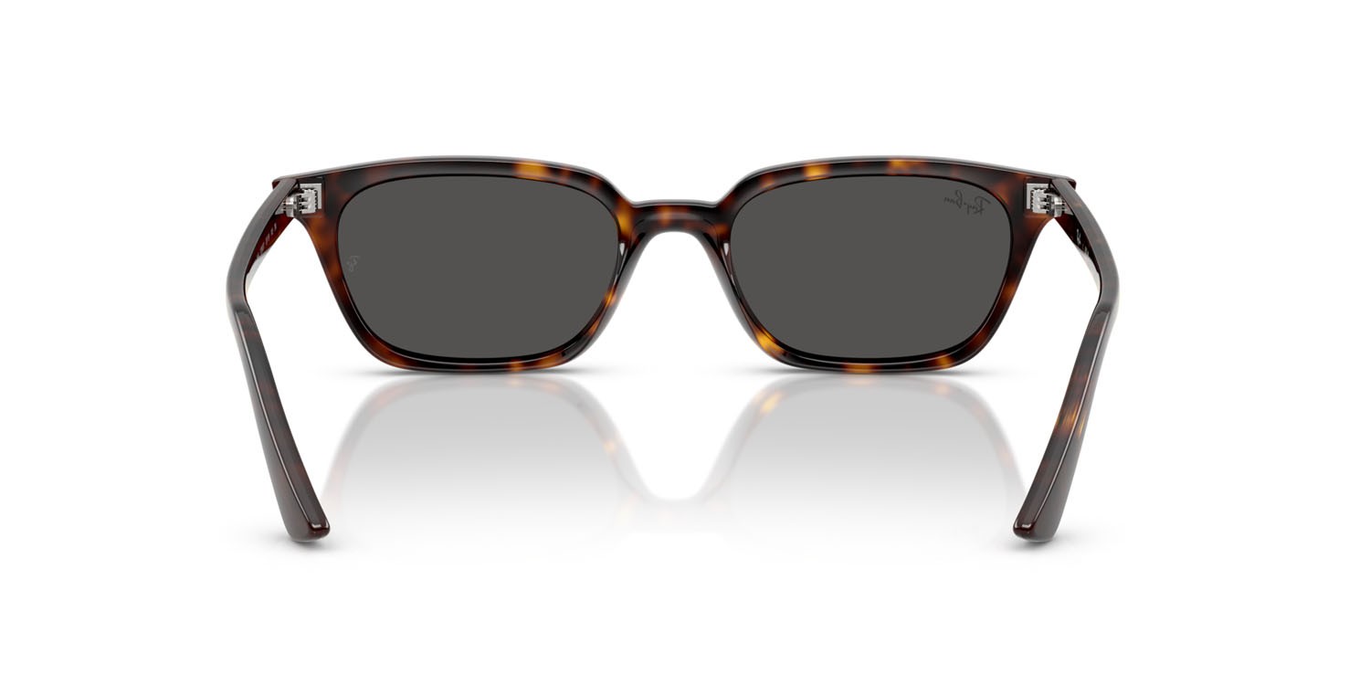 Occhiali da sole Ray-Ban Zaya RB 4456 (135987) colore havana forma quadrato lenti grigio scuro