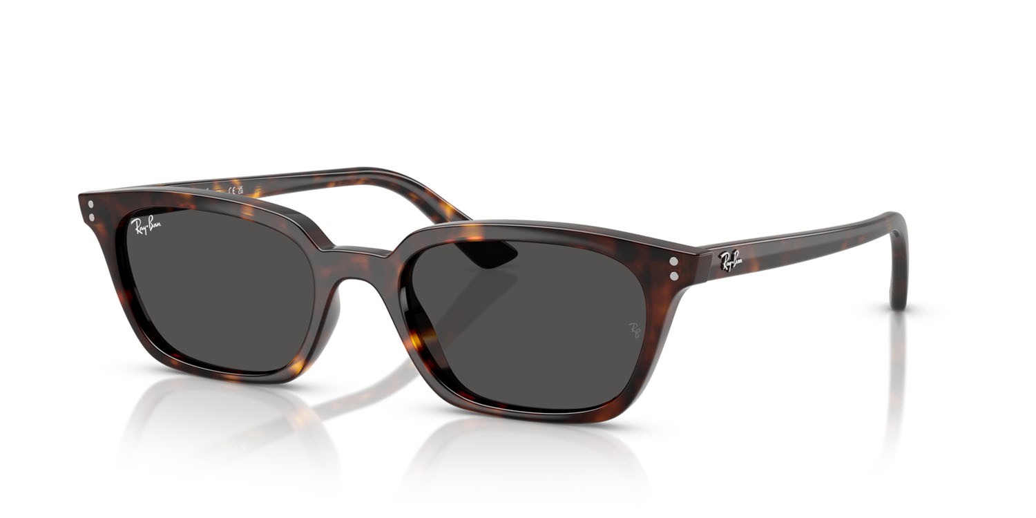 Occhiali da sole Ray-Ban Zaya RB 4456 (135987) colore havana forma quadrato lenti grigio scuro