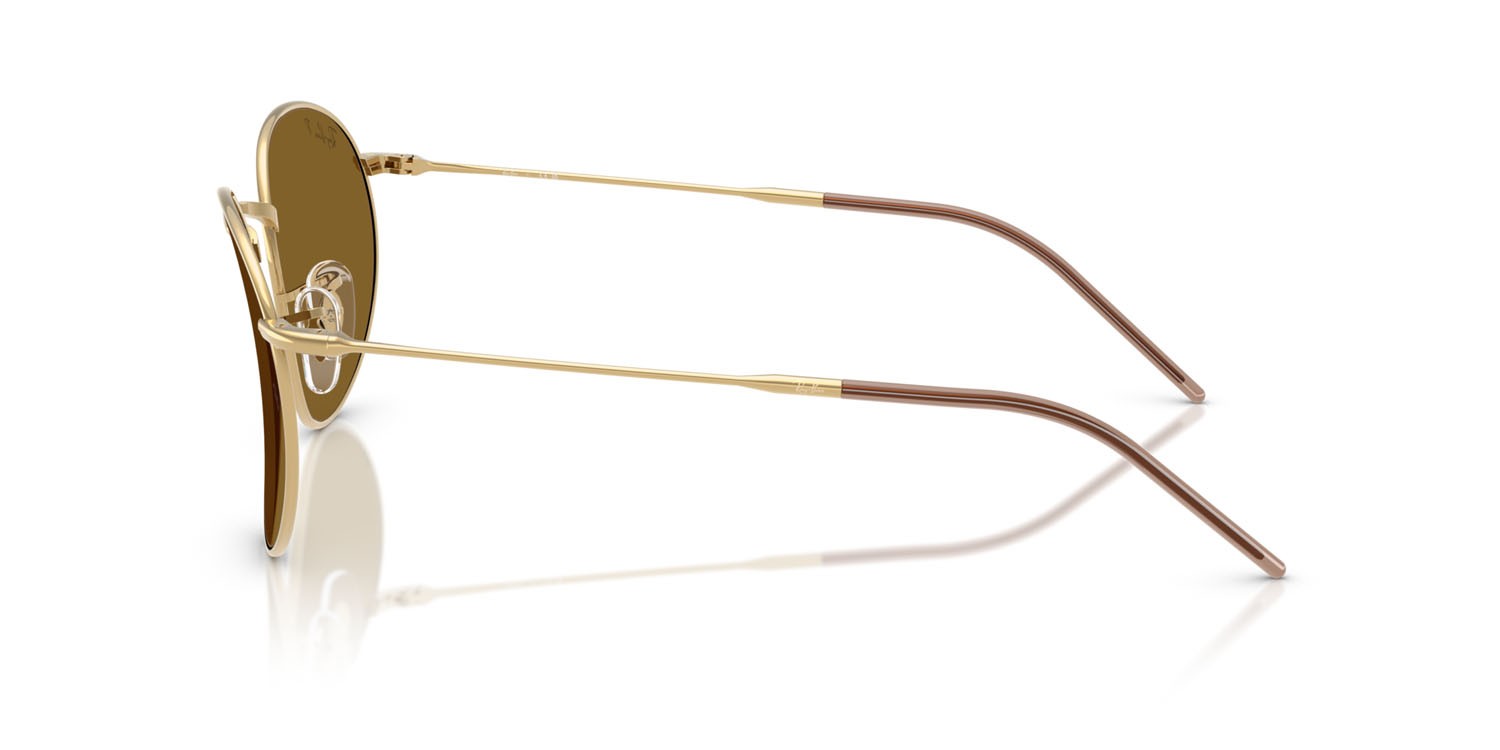 Sonnenbrillen Ray-Ban Round Reverse RB R0103S (001/83) farbe arista gold form pantos gläser polar marrone