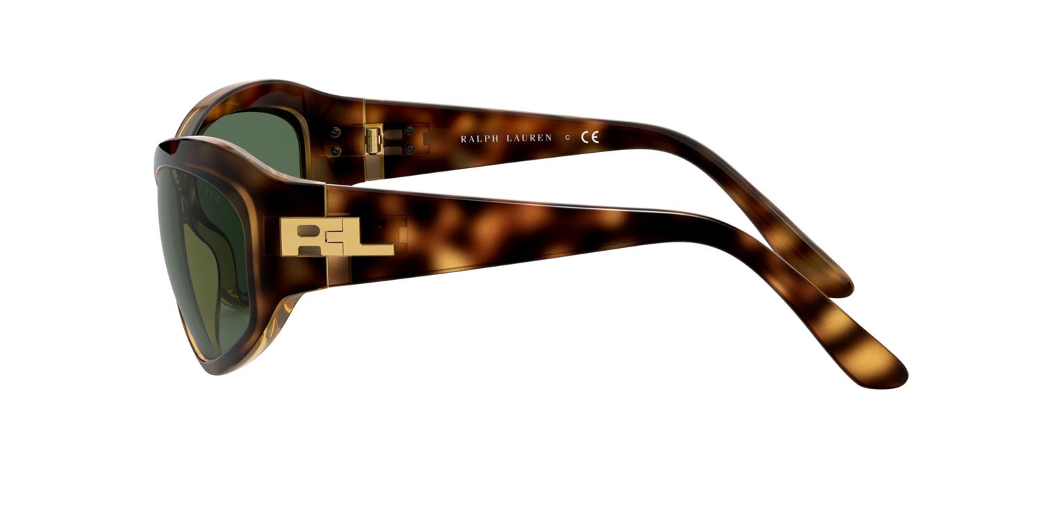 Sunglasses Ralph Lauren RL 8179 (500371) color havana scuro lucido shape cat eye lenses verde