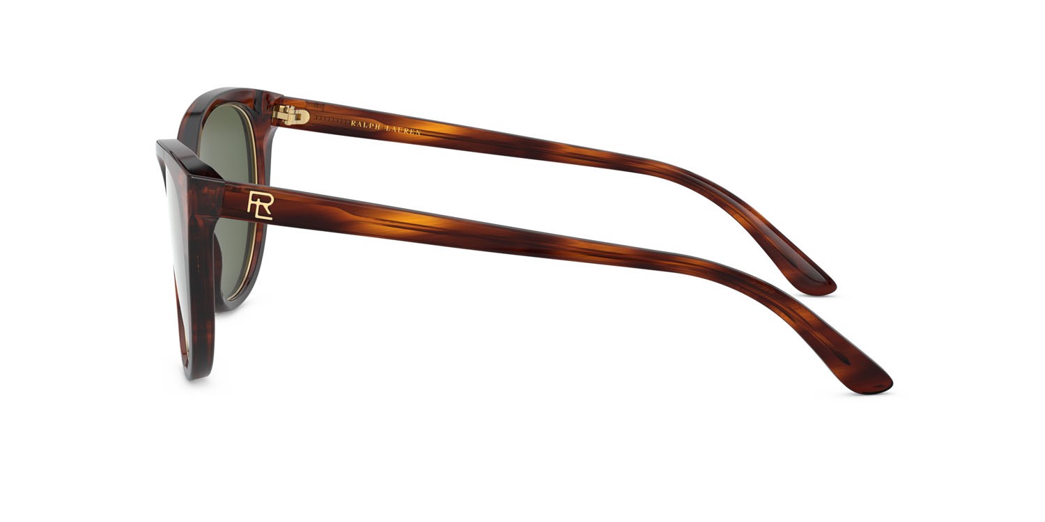 Sonnenbrillen Ralph Lauren RL 8186 (500771) farbe striato havana lucido form cat-eye gläser verde bottiglia