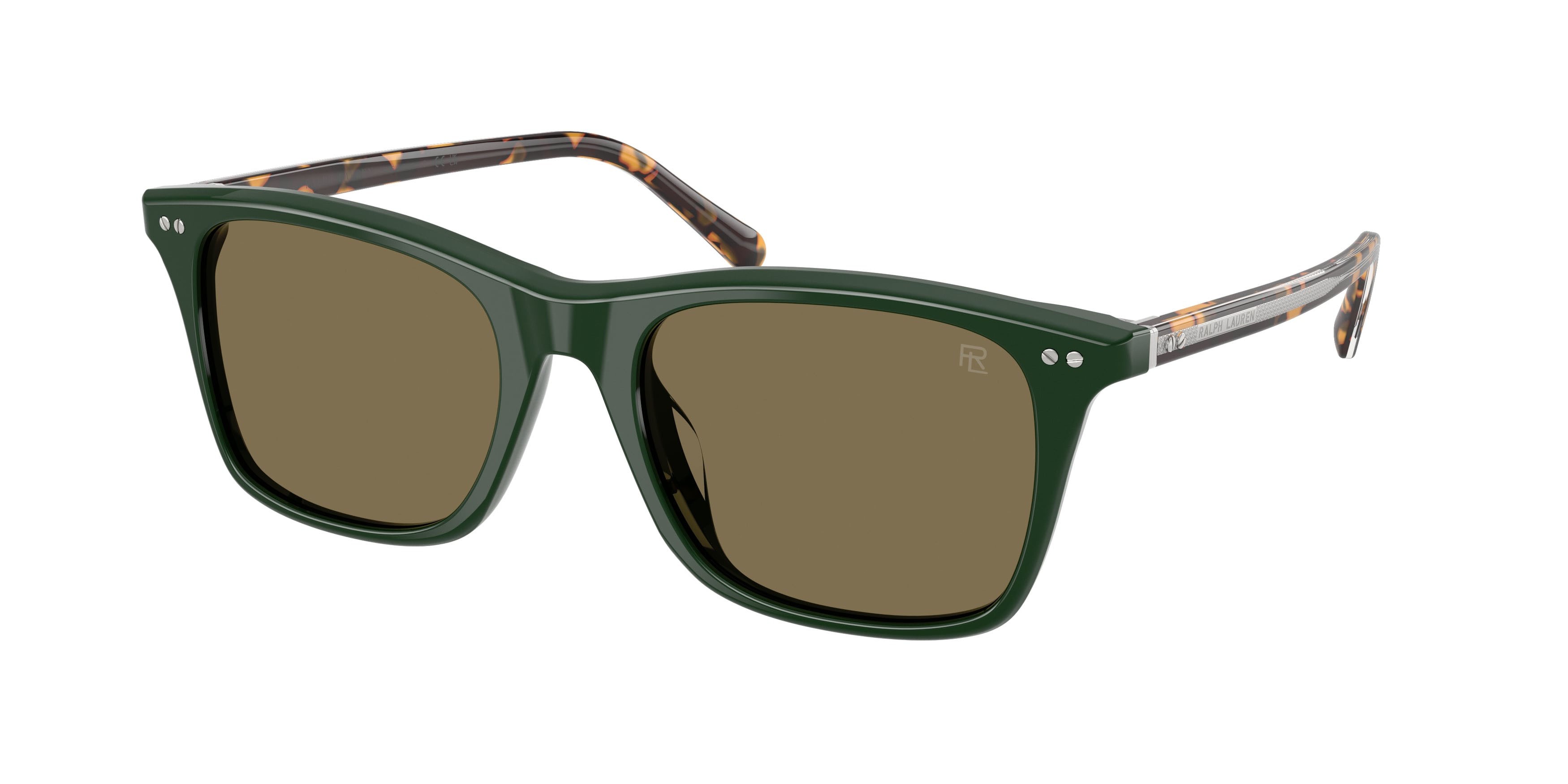 Occhiali da sole Ralph Lauren RL 8242U (614073) colore verde foresta forma pantos lenti marrone chiaro