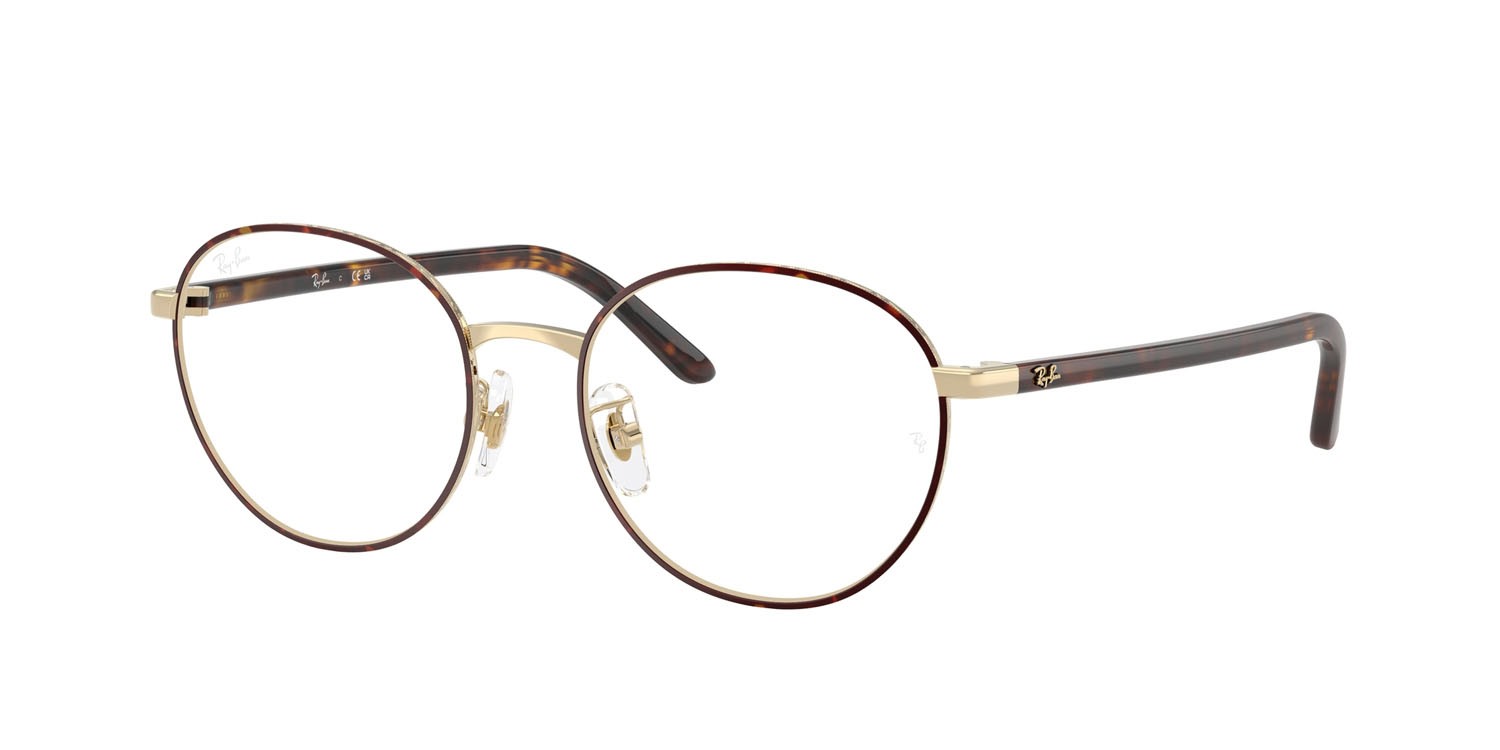 Eyeglasses Ray-Ban RX 6538D (3193) - RB 6538D 3193 color havana su oro pallido shape pantos lenses trasparente