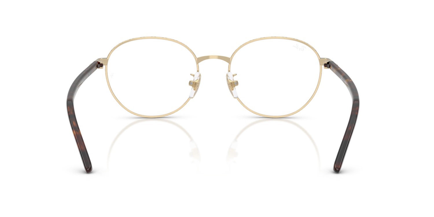 Eyeglasses Ray-Ban RX 6538D (3193) - RB 6538D 3193 color havana su oro pallido shape pantos lenses trasparente
