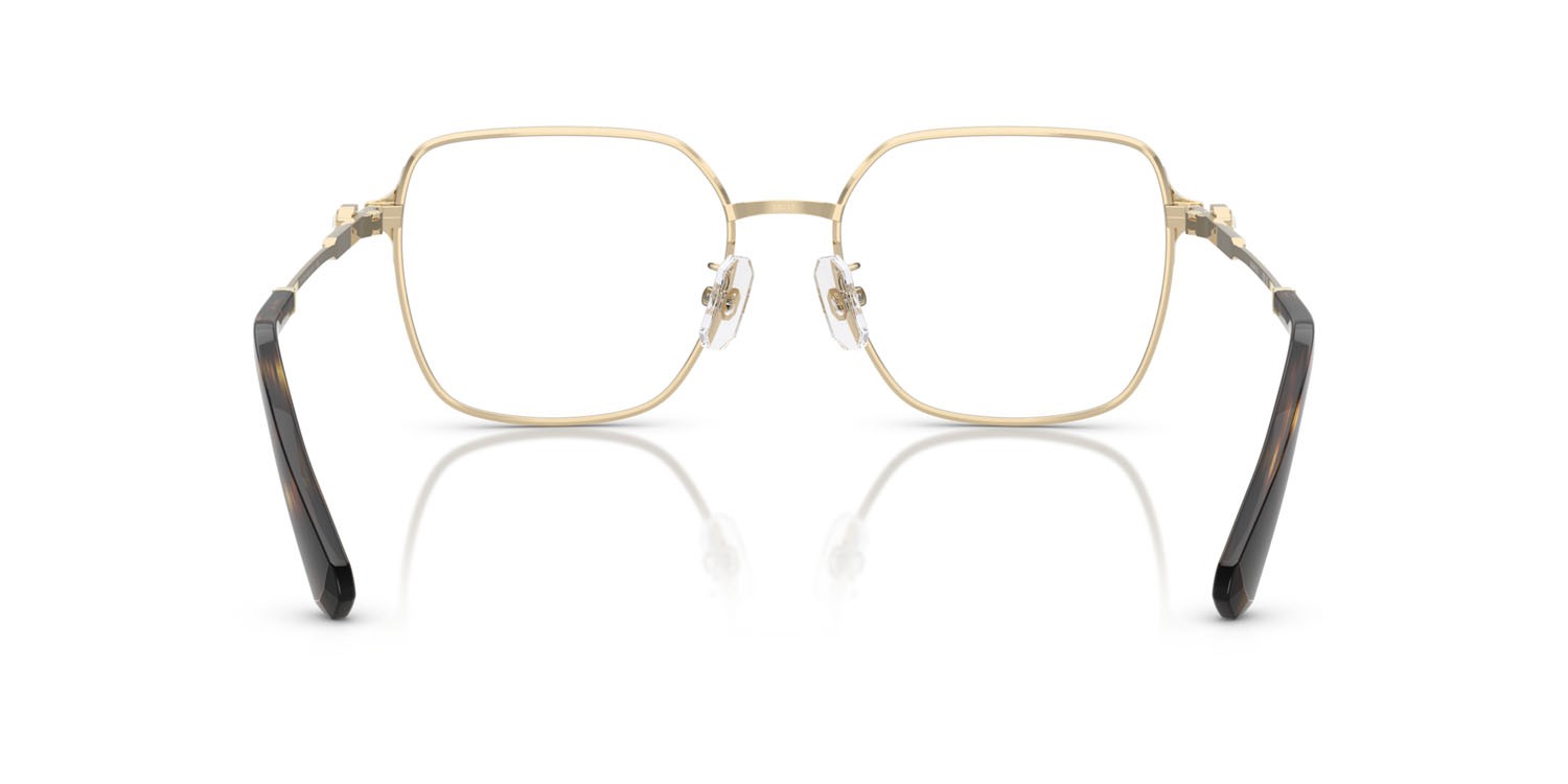 Eyeglasses Swarovski SK 1020D (4028) color oro pallido shape irregular lenses lente demo