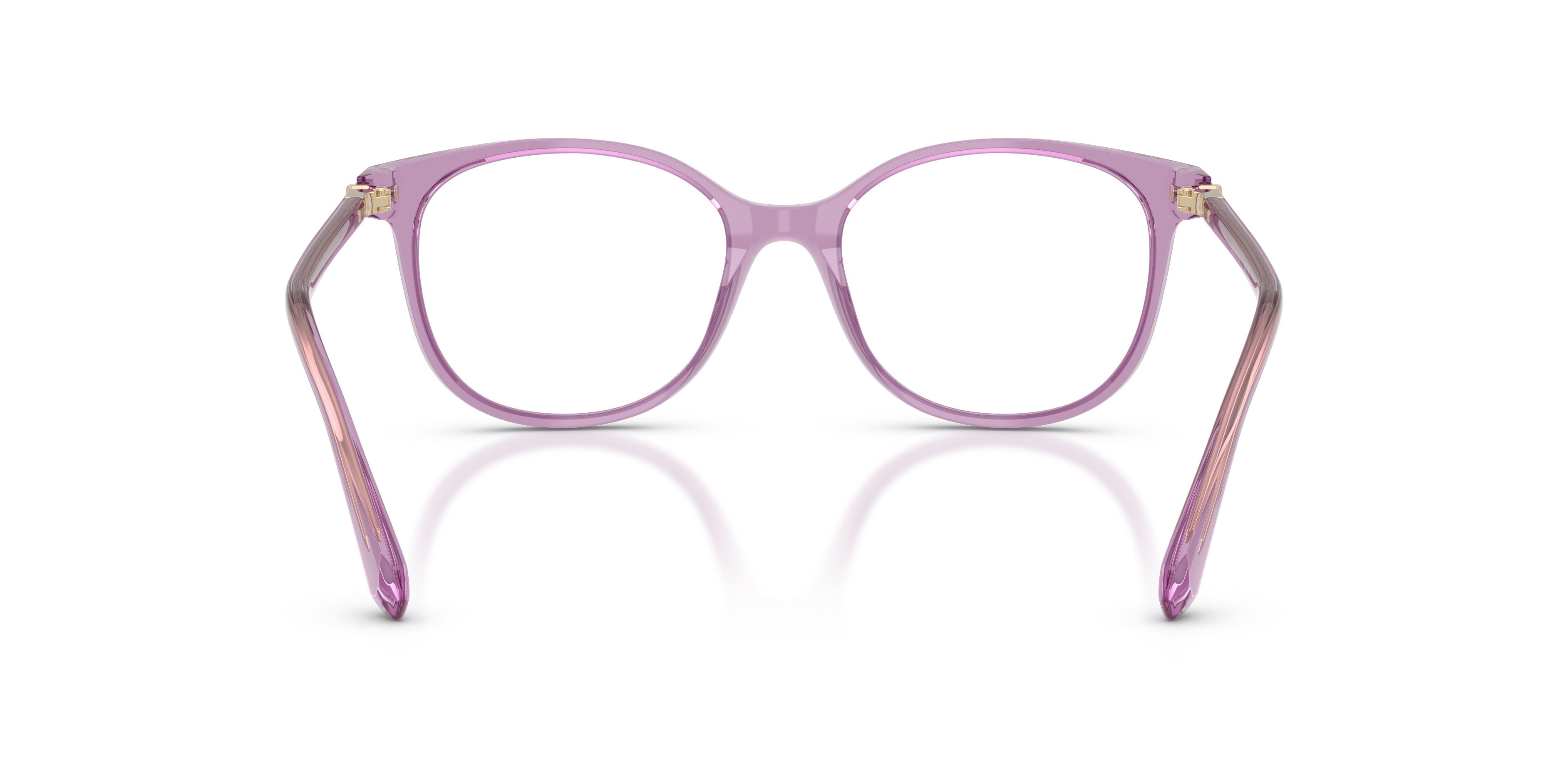 Eyeglasses Swarovski SK 2002 (1096) color ametista shape square lenses lente demo