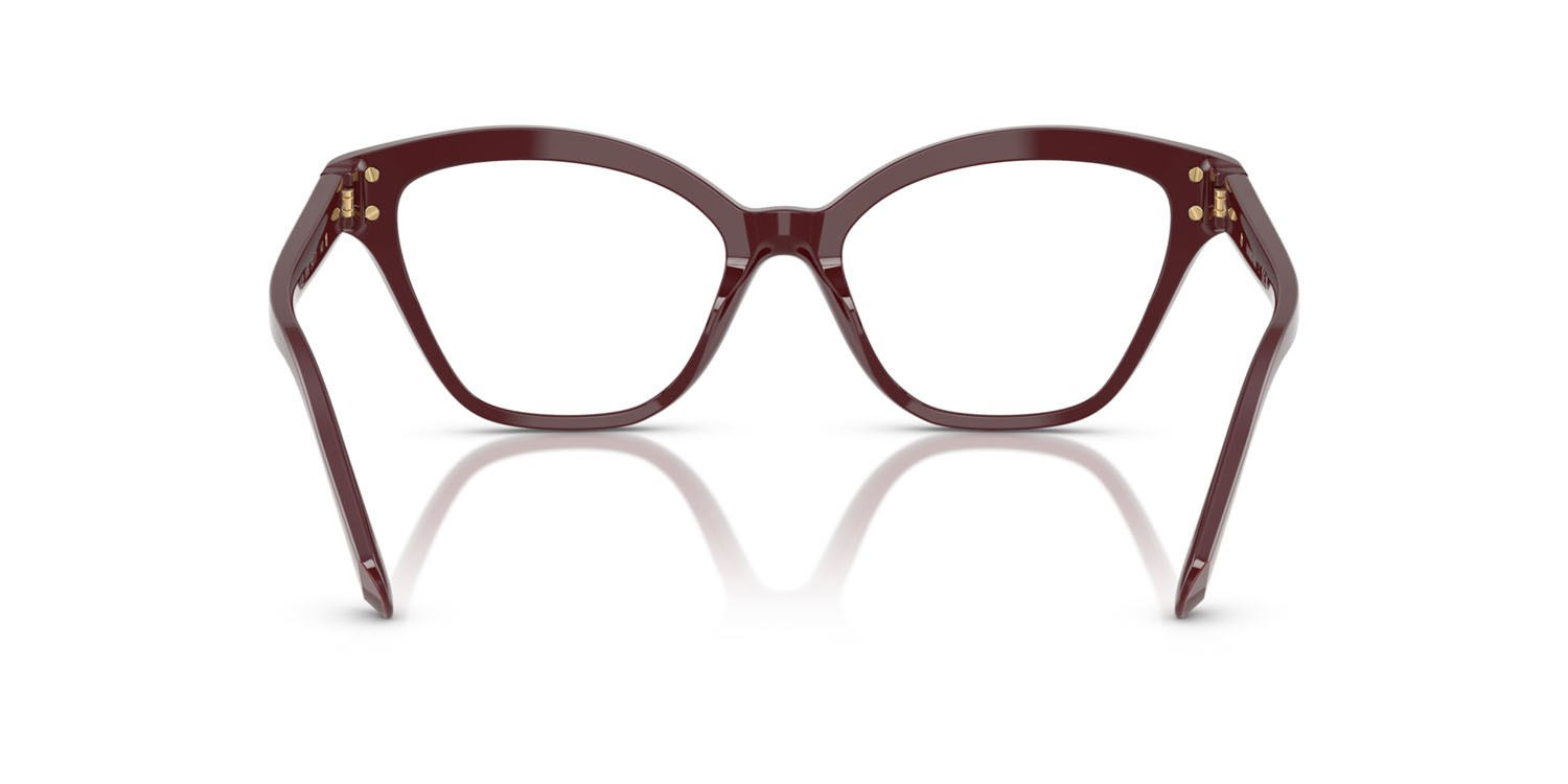 Eyeglasses Swarovski SK 2029 (1008) color vinaccia shape cat eye lenses lente demo