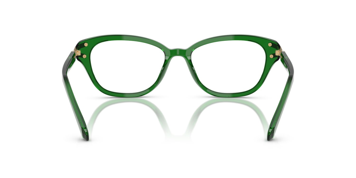 Eyeglasses Swarovski SK 2032 (1064) color verde trasparente shape square lenses lente demo