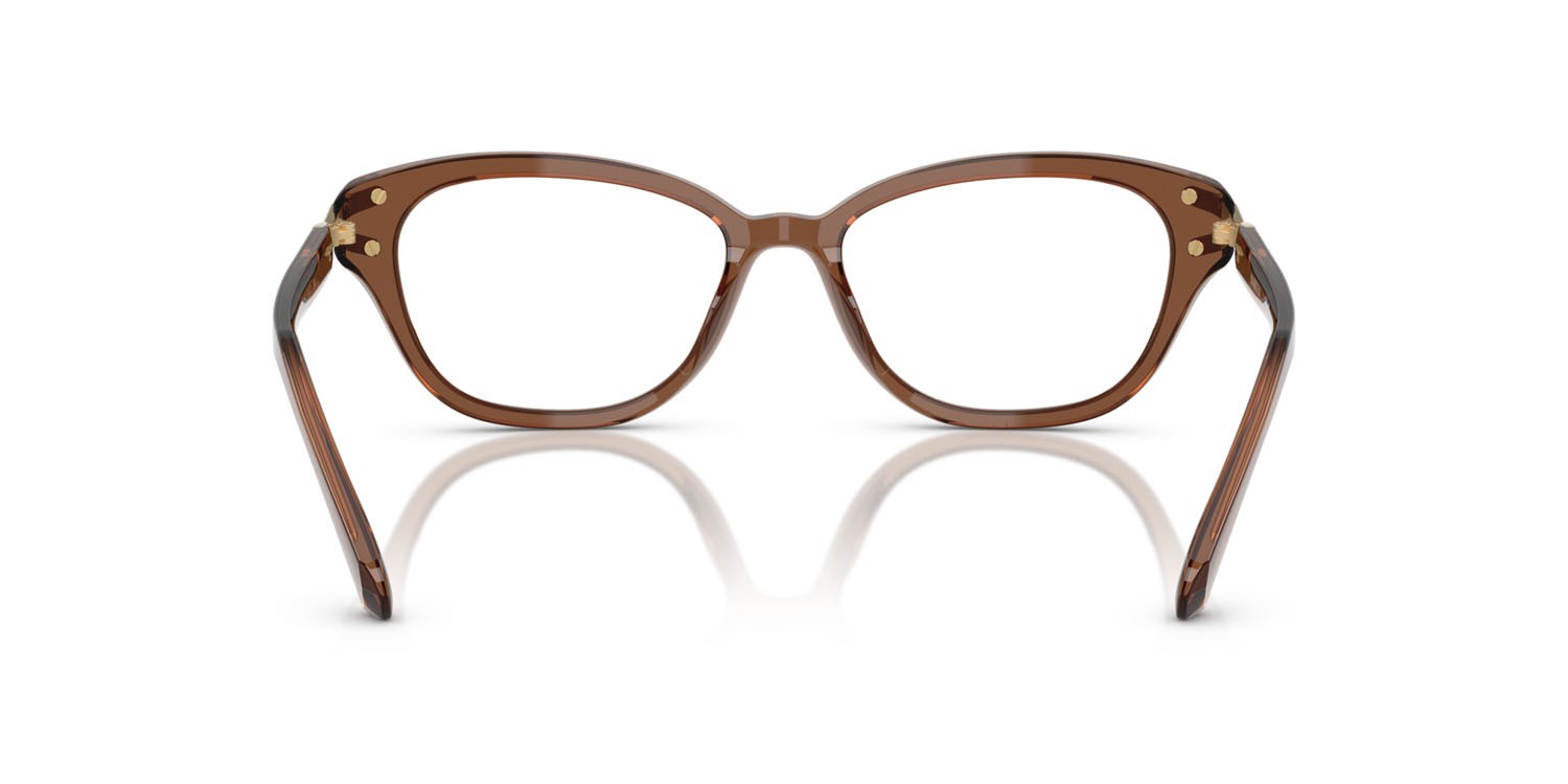Eyeglasses Swarovski SK 2032 (1067) color marrone trasparente shape square lenses lente demo