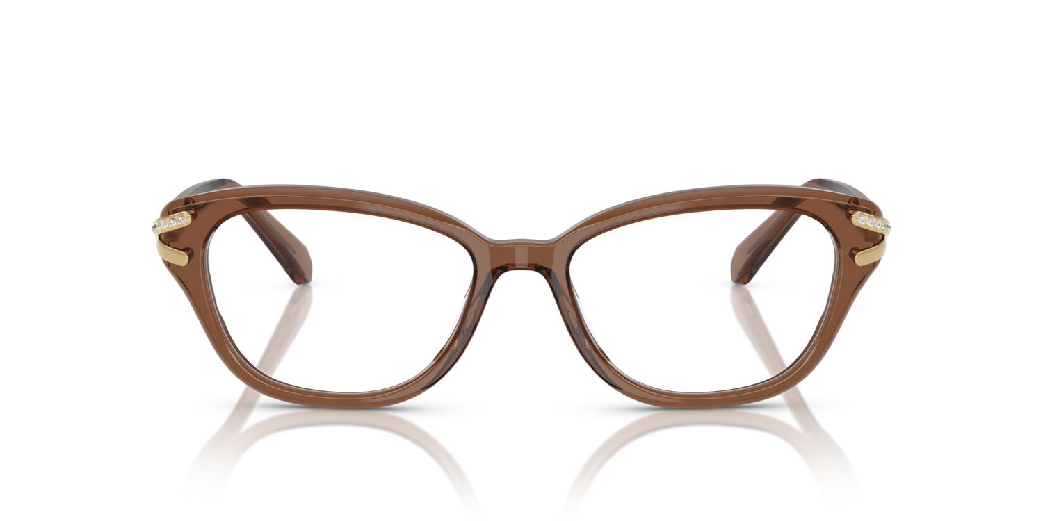 Eyeglasses Swarovski SK 2032 (1067) color marrone trasparente shape square lenses lente demo