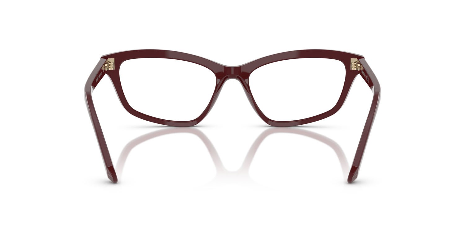 Eyeglasses Swarovski SK 2034 (1008) color vinaccia shape irregular lenses lente demo