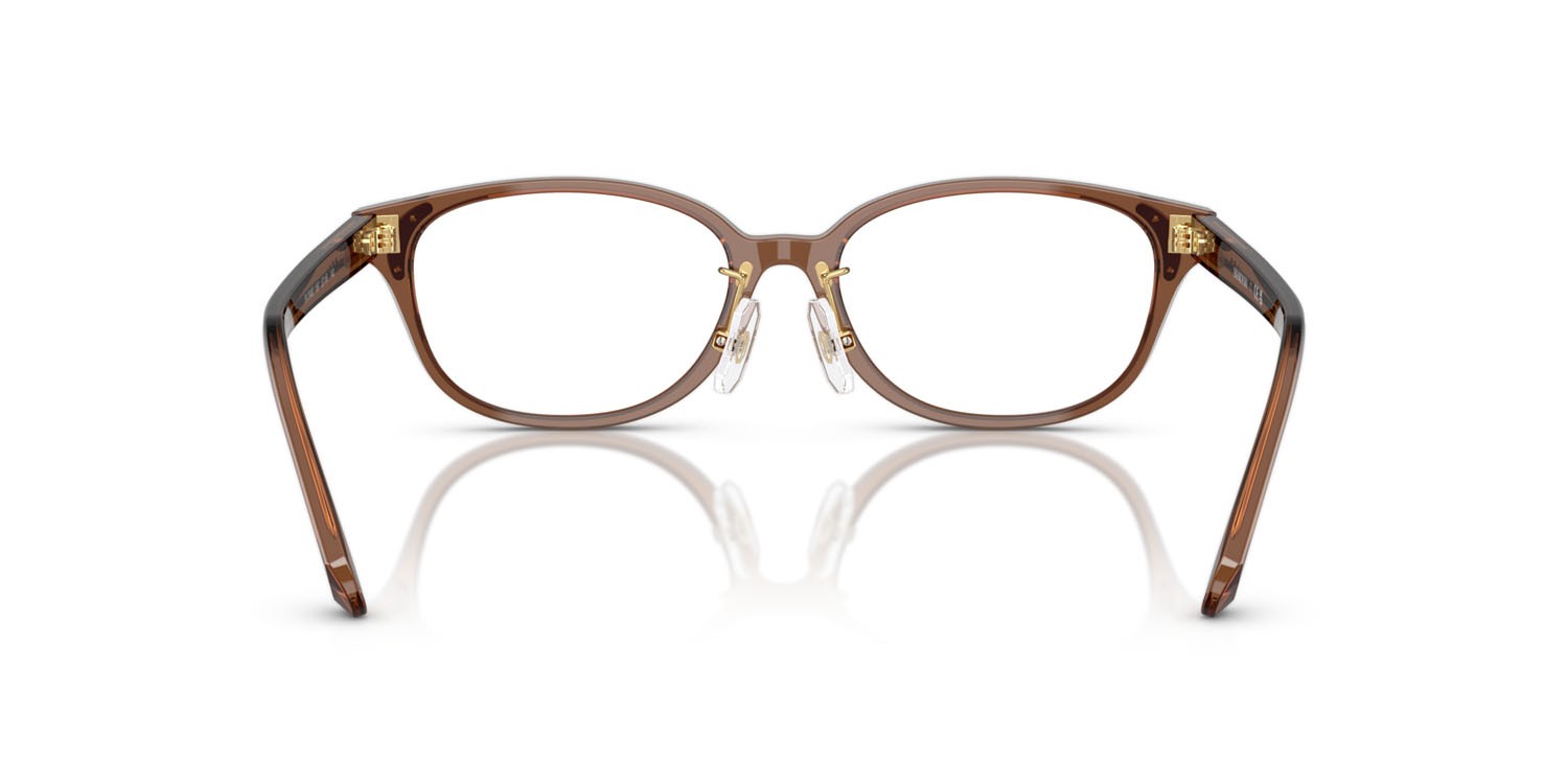 Eyeglasses Swarovski SK 2040D (1067) color marrone trasparente shape oval lenses lente demo