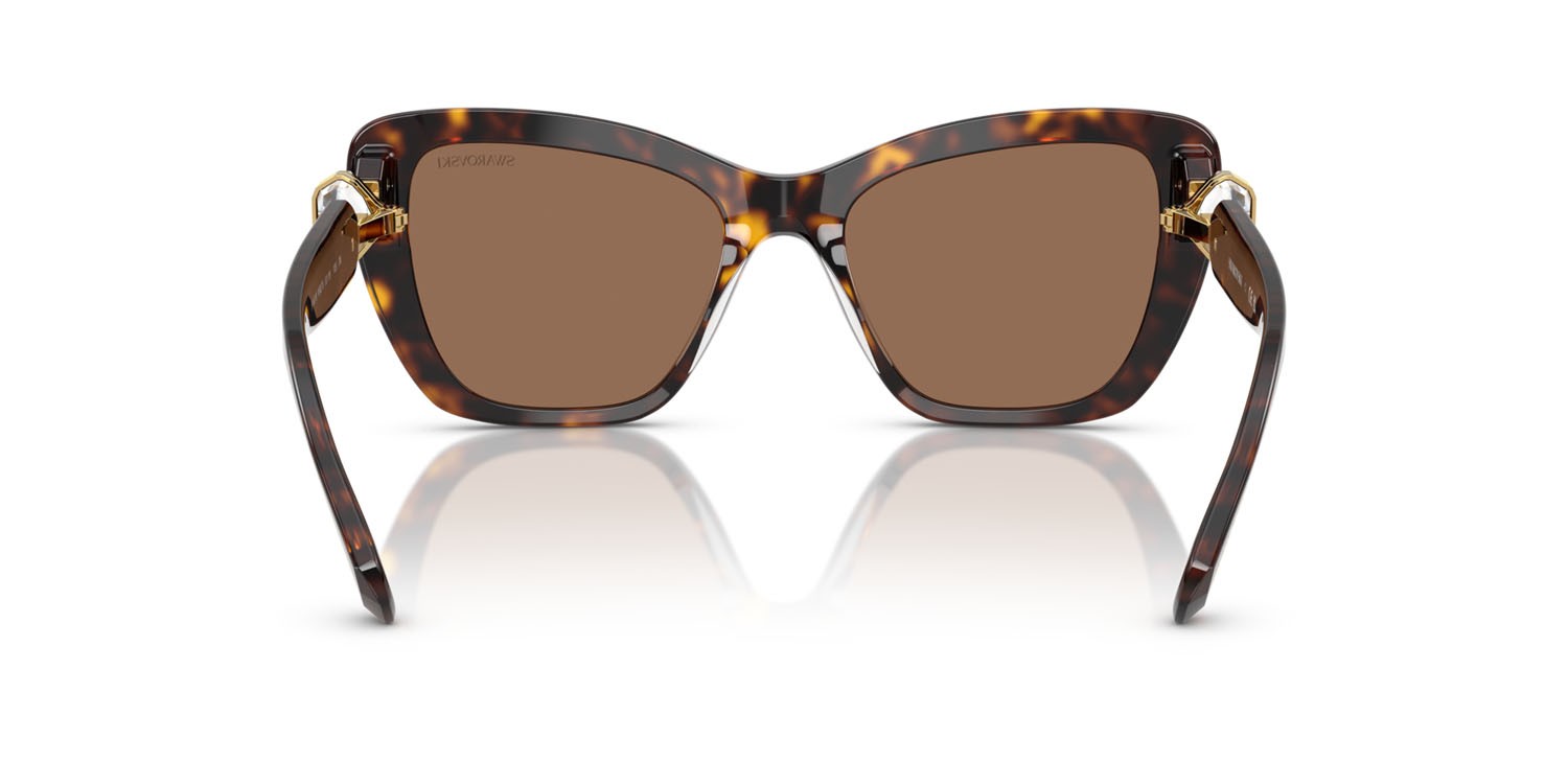 Sunglasses Swarovski SK 6018 (100273) color havana shape cat eye lenses marrone scuro