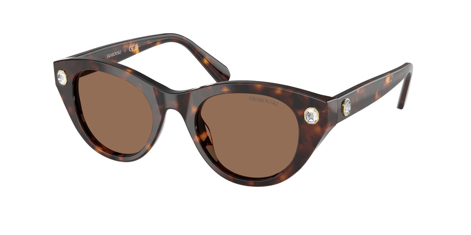Sunglasses Swarovski SK 6025 (100273) color havana shape round lenses marrone scuro