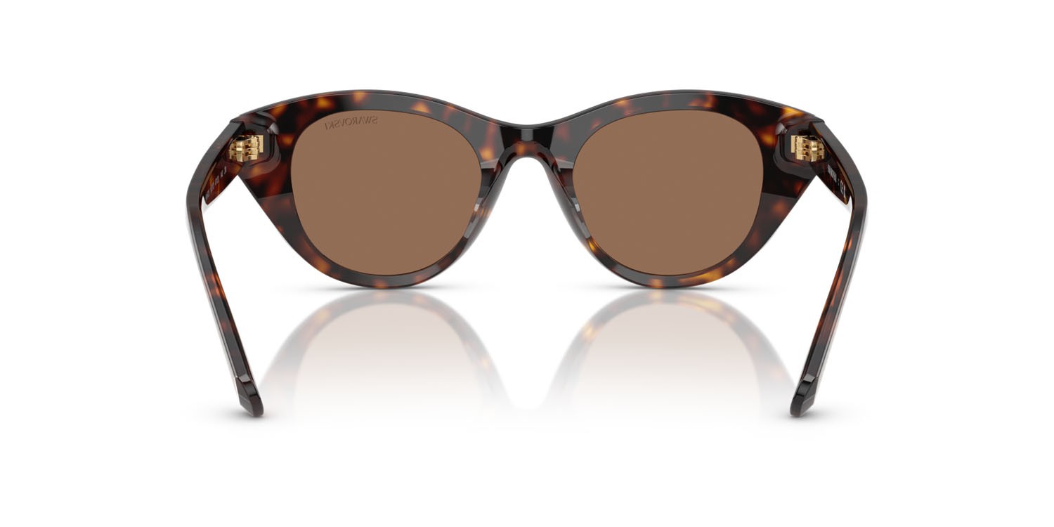 Sunglasses Swarovski SK 6025 (100273) color havana shape round lenses marrone scuro